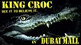 Client Logo King Croc