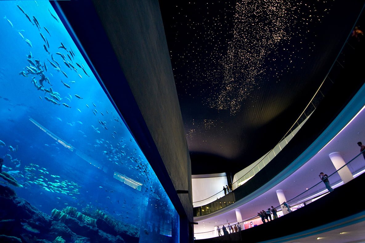 Johnson Technical Services Entertainment The Dubai Mall Aquarium